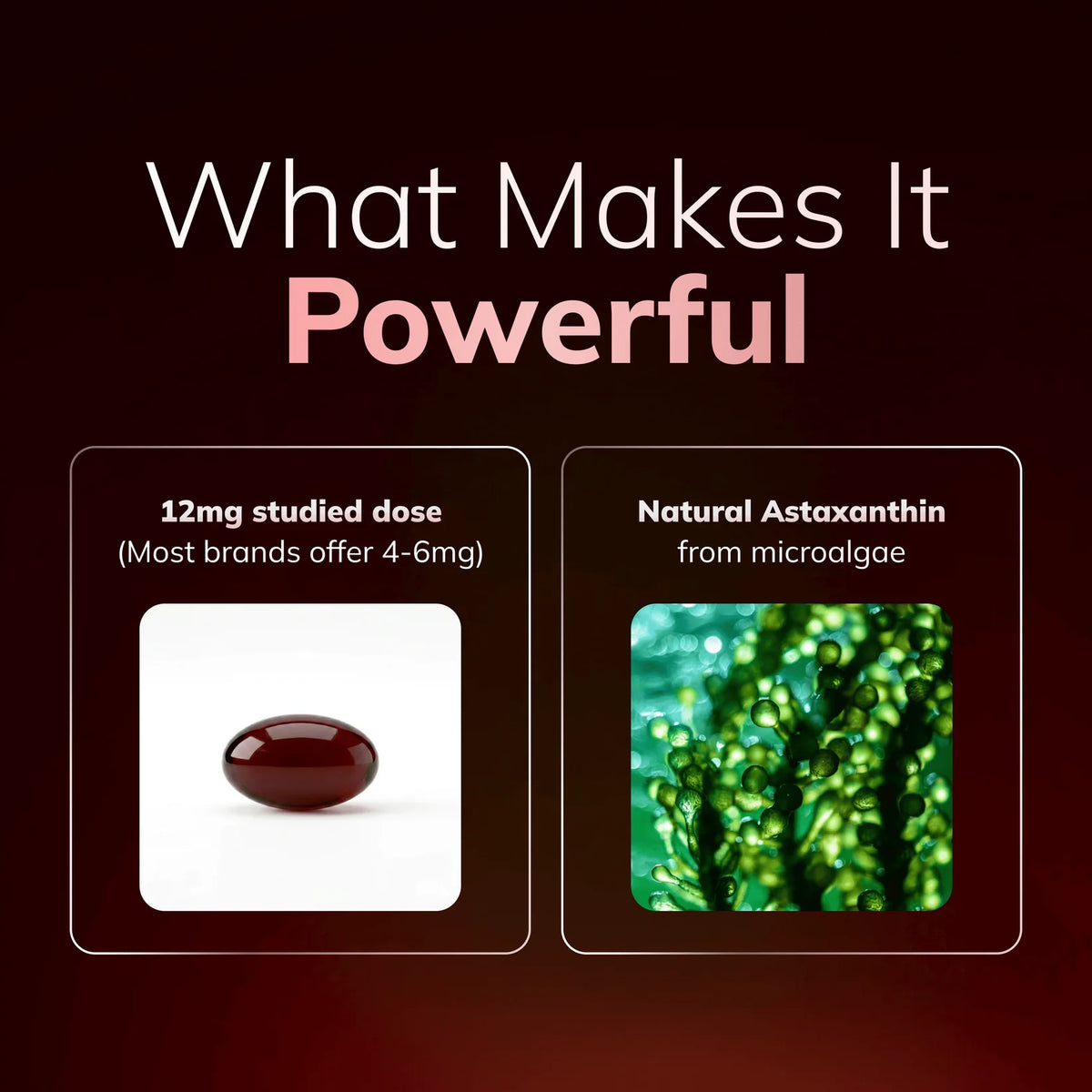Astaxanthin – Naturally Fights Oxidative Stress To Restore Balance Inside and Out
